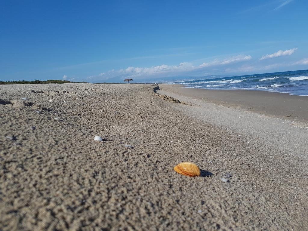 Villa Sulla Spiaggia Tra Catania E Siracusa Agnone Bagni Kültér fotó